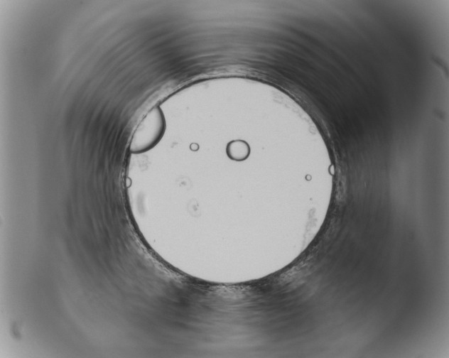 X0000103460805200810240948