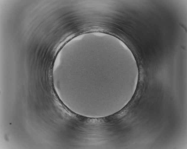 X0000103460806200810240948