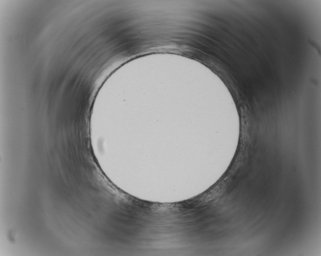 X0000103460808200810240948