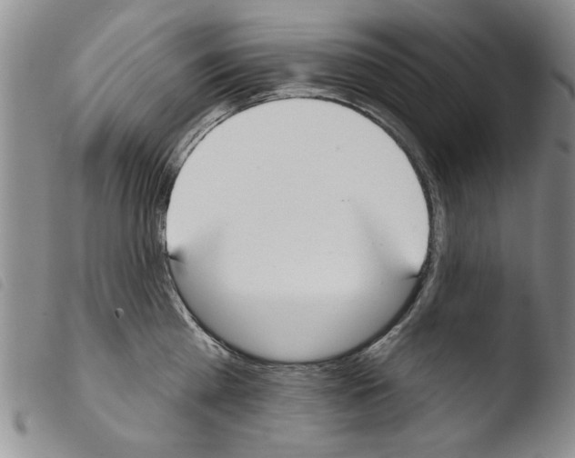 X0000103460809200810240948