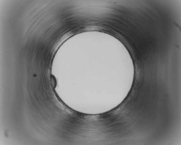 X0000103460810200810240948