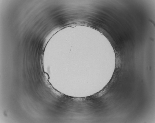 X0000103460812200810240948