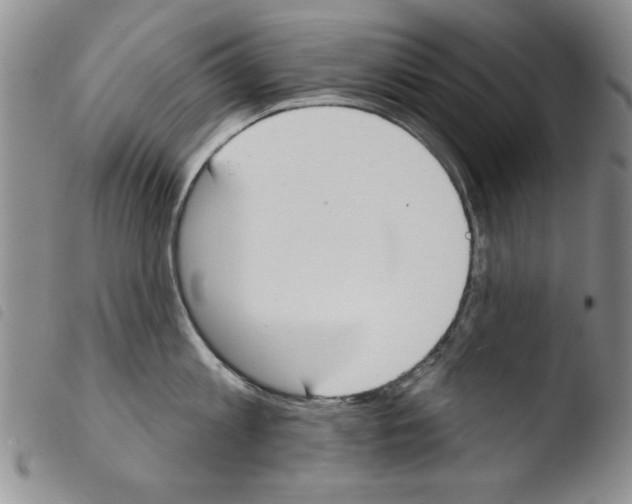 X0000103460813200810240948