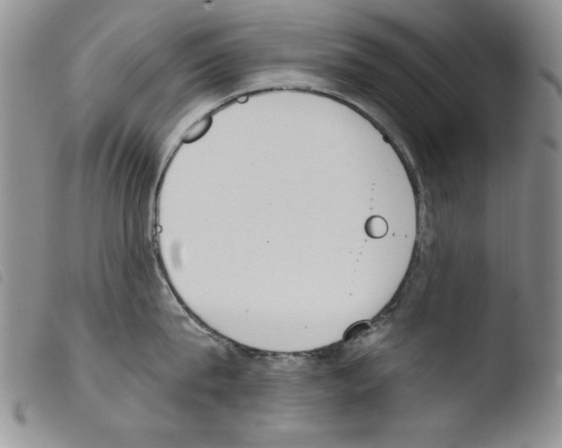 X0000103460815200810240948