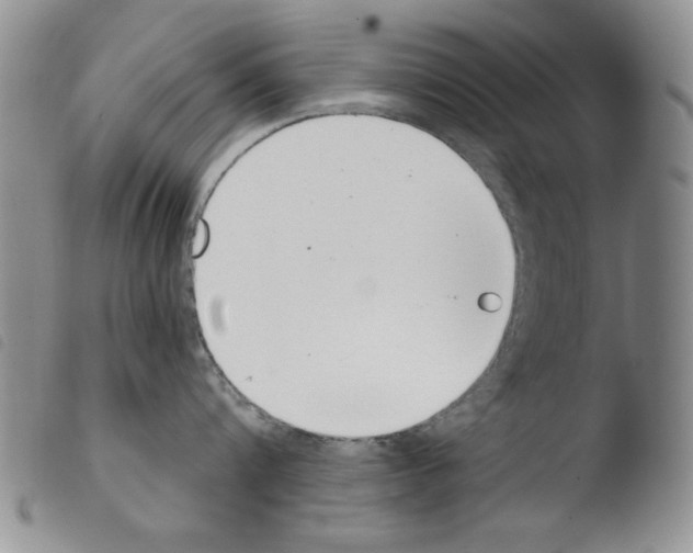 X0000103460816200810240948
