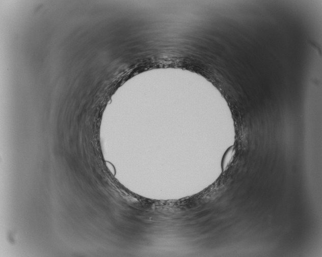 X0000103460817200810240947
