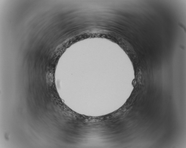 X0000103460821200810240947