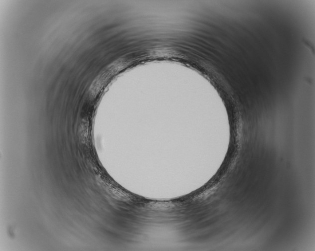 X0000103460825200810240947