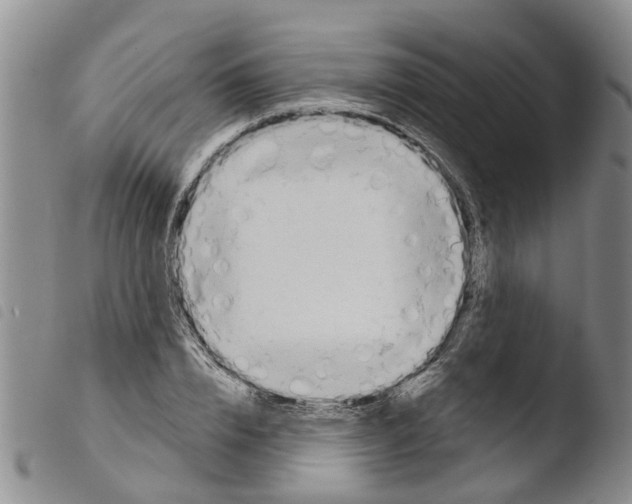 X0000103460832200810240947