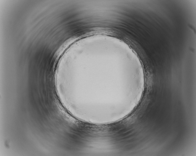 X0000103460836200810240947