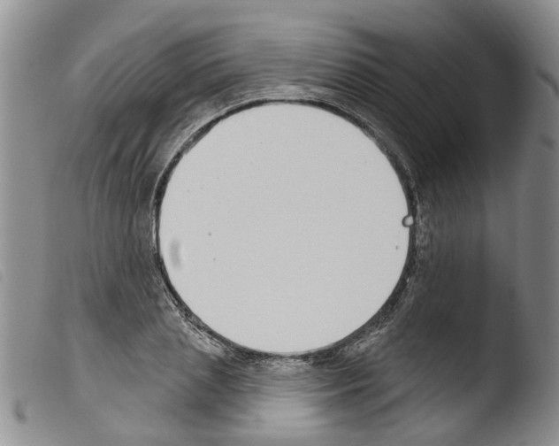 X0000103460837200810240947