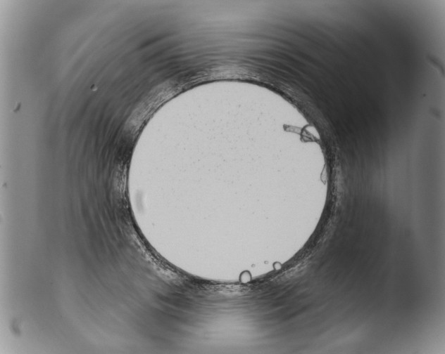 X0000103460841200810240947