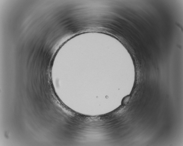 X0000103460846200810240947