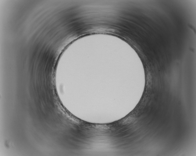 X0000103460848200810240947