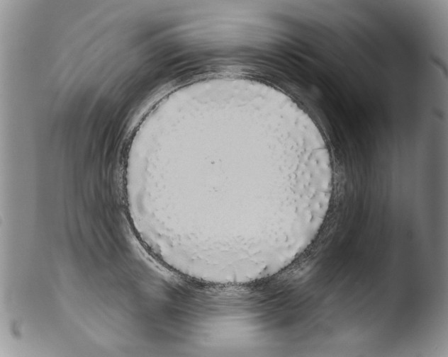 X0000103460851200810240947
