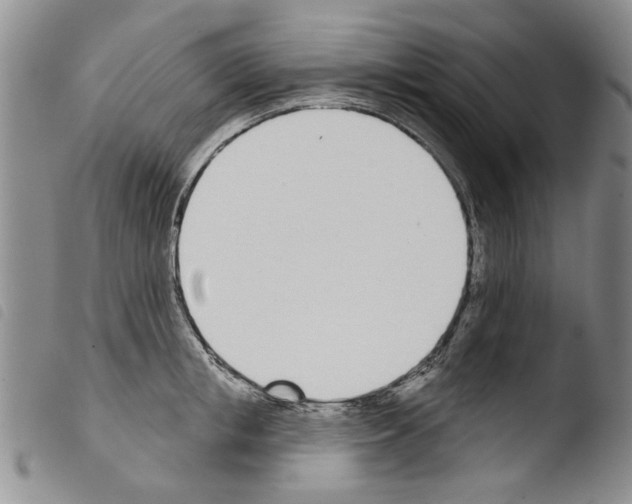 X0000103460853200810240948