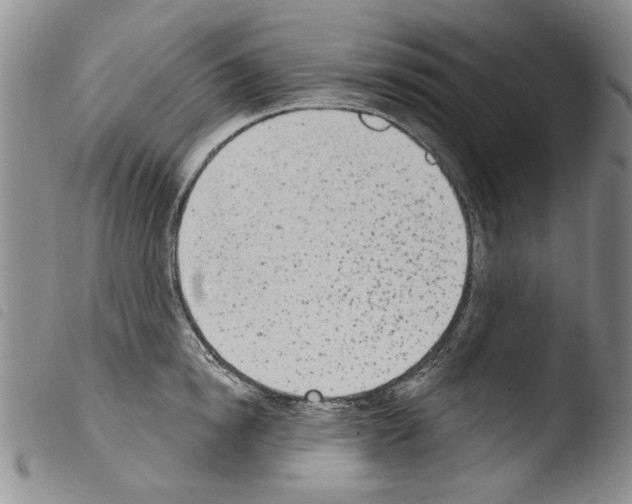 X0000103460854200810240948