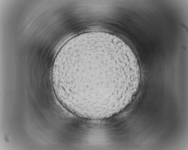 X0000103460855200810240948