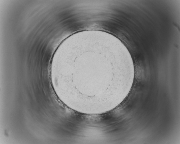 X0000103460856200810240948