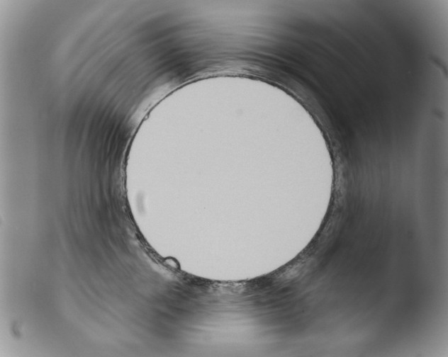 X0000103460858200810240948