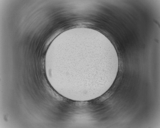 X0000103460859200810240948