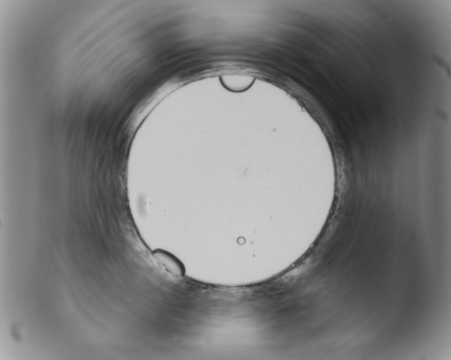 X0000103460860200810240948