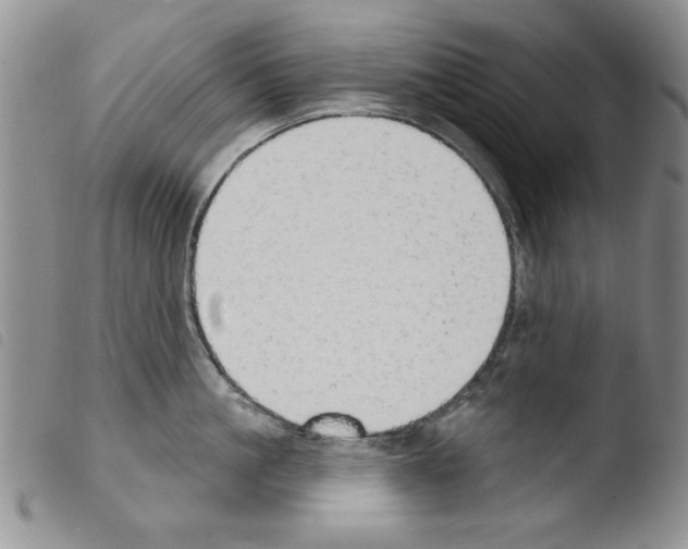 X0000103460861200810240948