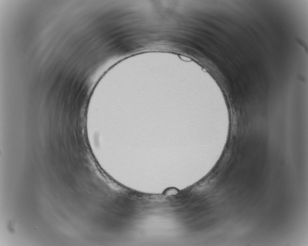 X0000103460862200810240948