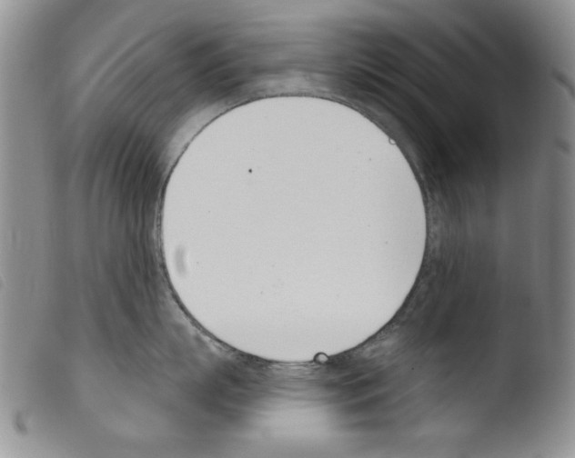 X0000103460863200810240948