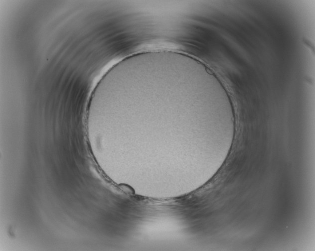 X0000103460864200810240948