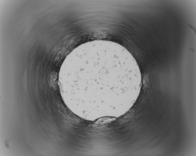 X0000103460867200810240947
