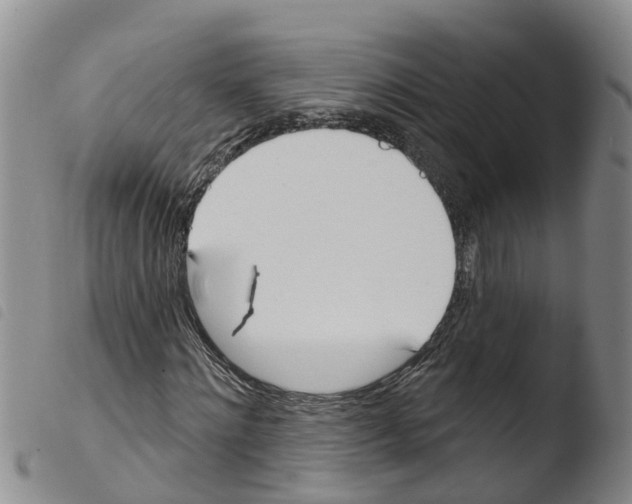 X0000103460868200810240947