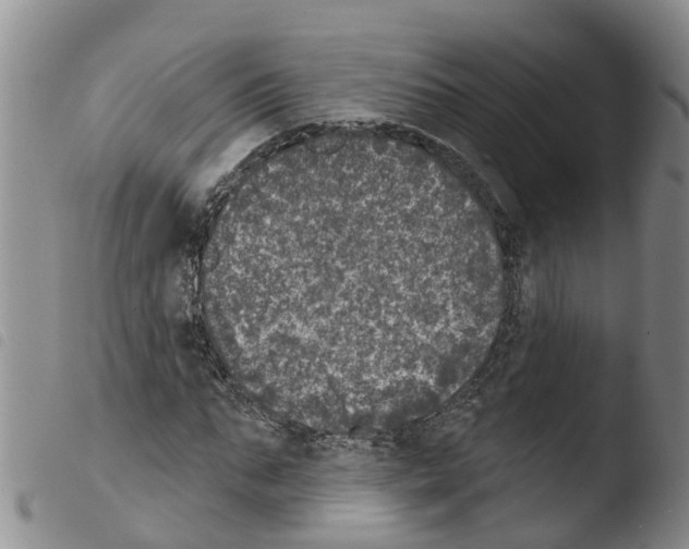 X0000103460871200810240947