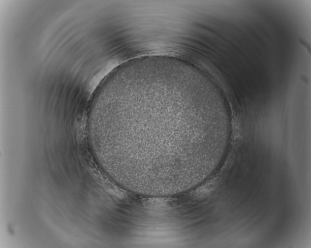X0000103460875200810240947