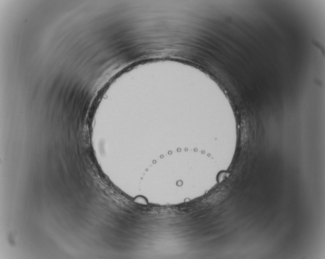 X0000103460876200810240947