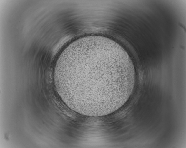 X0000103460878200810240947