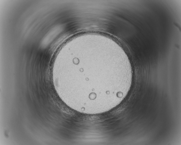 X0000103460879200810240947