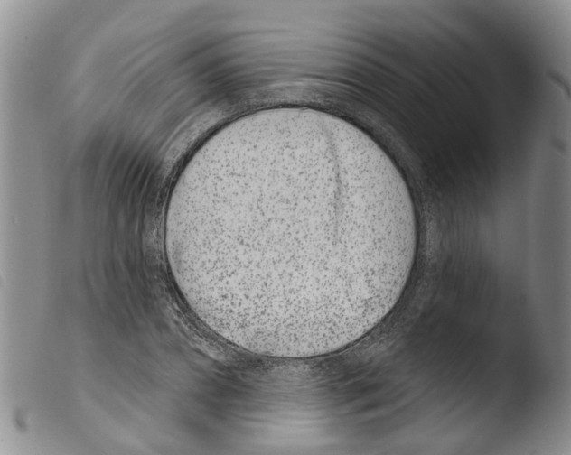 X0000103460882200810240947