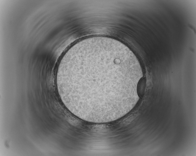 X0000103460883200810240947