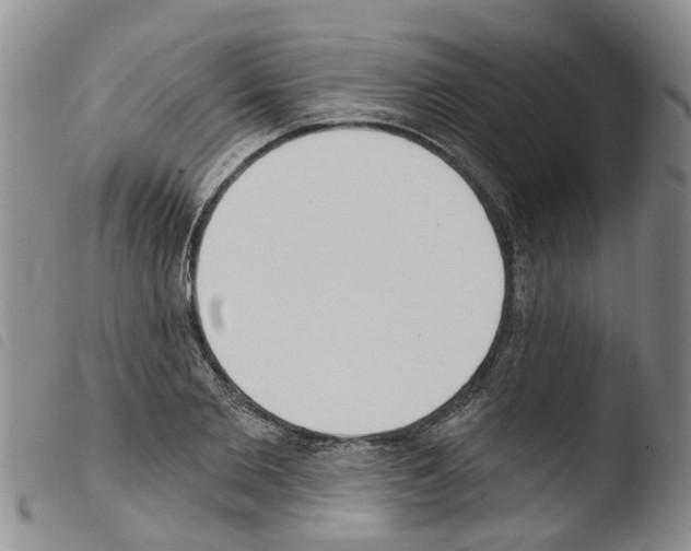 X0000103460885200810240947