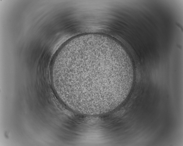 X0000103460886200810240947