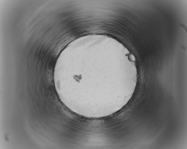 X0000103460889200810240947