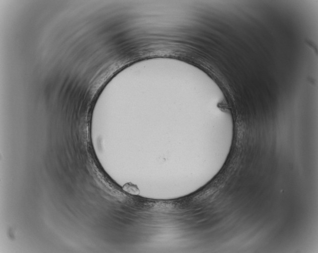 X0000103460890200810240947