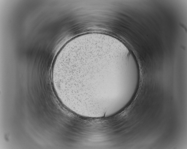 X0000103460891200810240947