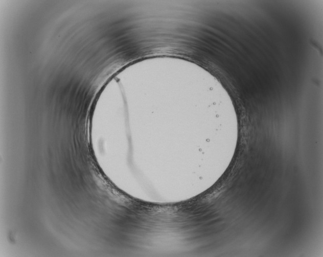 X0000103460892200810240947
