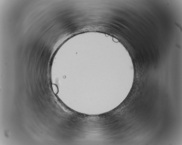 X0000103460894200810240947