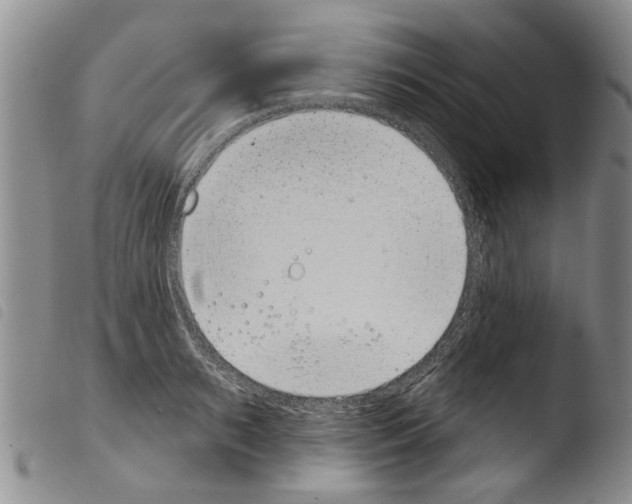 X0000103460895200810240947