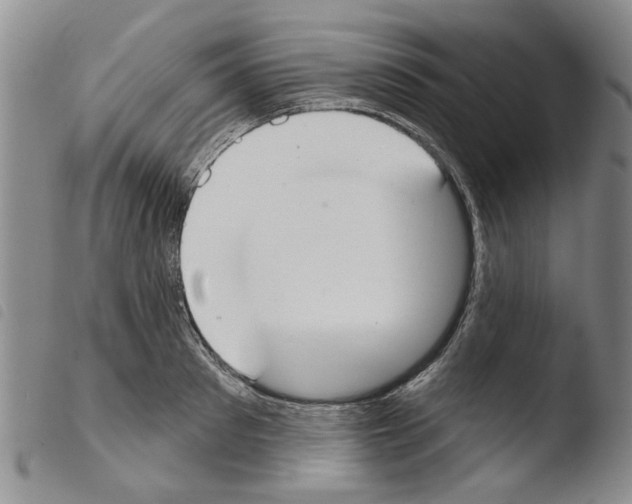 X0000103460897200810240947