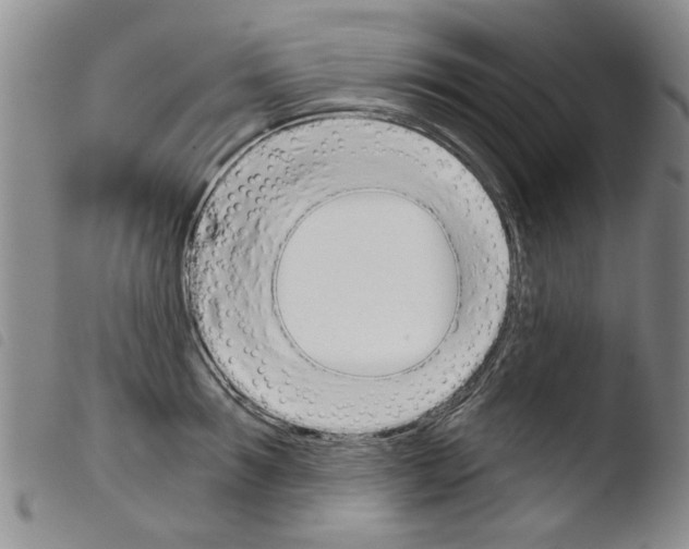 X0000103460899200810240947