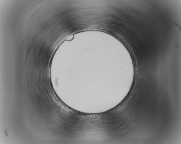 X0000103460900200810240947